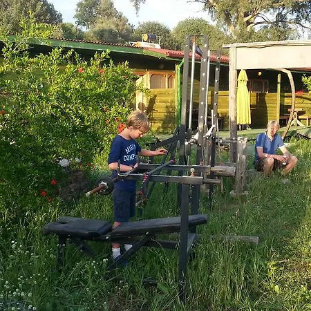 酒店 达利安阳光有机农场酒店