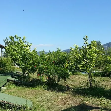 达利安阳光有机农场酒店
