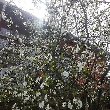 达利安阳光有机农场酒店