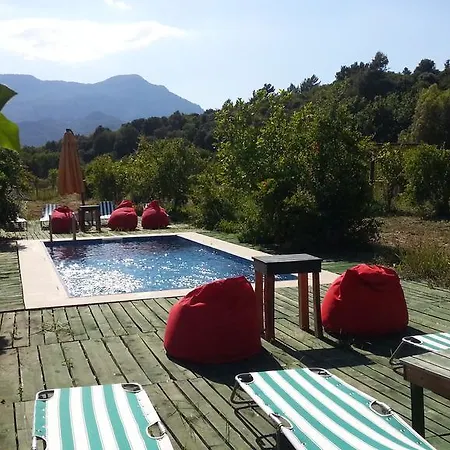 Hotel Sun Dalyan Hotel And Organic Farm *