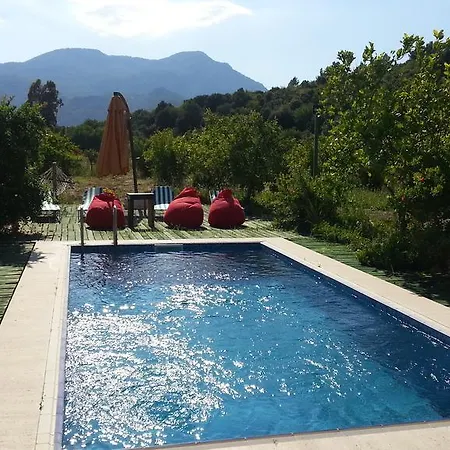 Sun Dalyan Hotel And Organic Farm