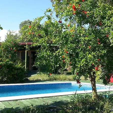 Sun Dalyan Hotel And Organic Farm Hotel