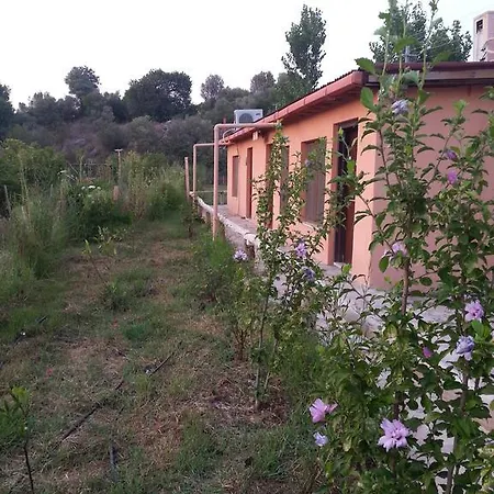 Sun Dalyan Hotel And Organic Farm Dalyan